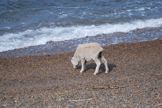 Click to view full size image