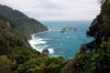 45-west_coast_nz-189-s.jpg