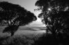 10-akaroa_nz-041-s-bw.jpg