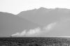 28-wakatipu_nz-176-s-bw.jpg